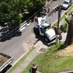Tree Removal Crane Hire Brisbane