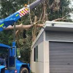 crane hire for tree removal brisbane qld