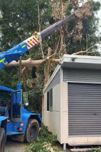 crane hire for tree removal brisbane qld