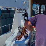 franna-crane-assisting-in-boat-engine-installation-and-maintenance-brisbane-qld franna crane assisting in boat engine installation and maintenance brisbane qld