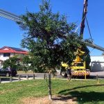 franna-crane-hire-for-sheet-roofing-installation-brisbane-qld franna crane hire for sheet roofing installation brisbane qld
