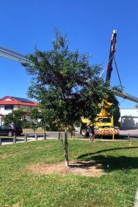 franna crane hire for sheet roofing installation brisbane qld